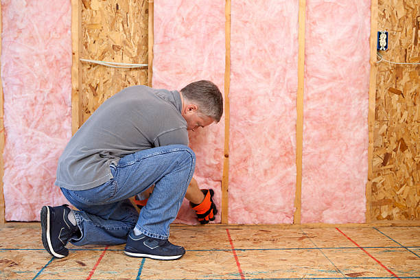 Best Energy Efficiency Insulation in Woodmore, MD
