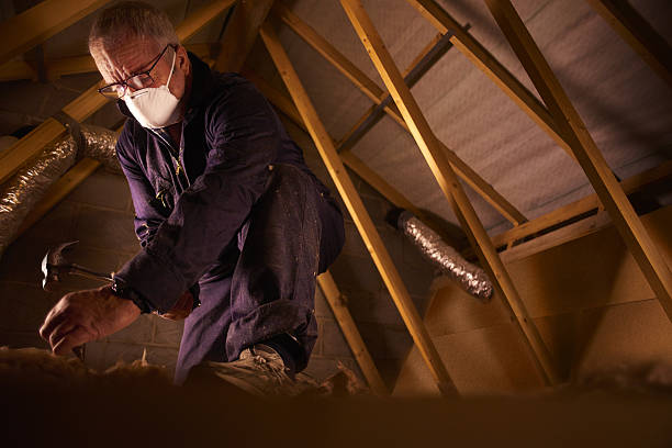 Professional Insulation Contractor in Woodmore, MD
